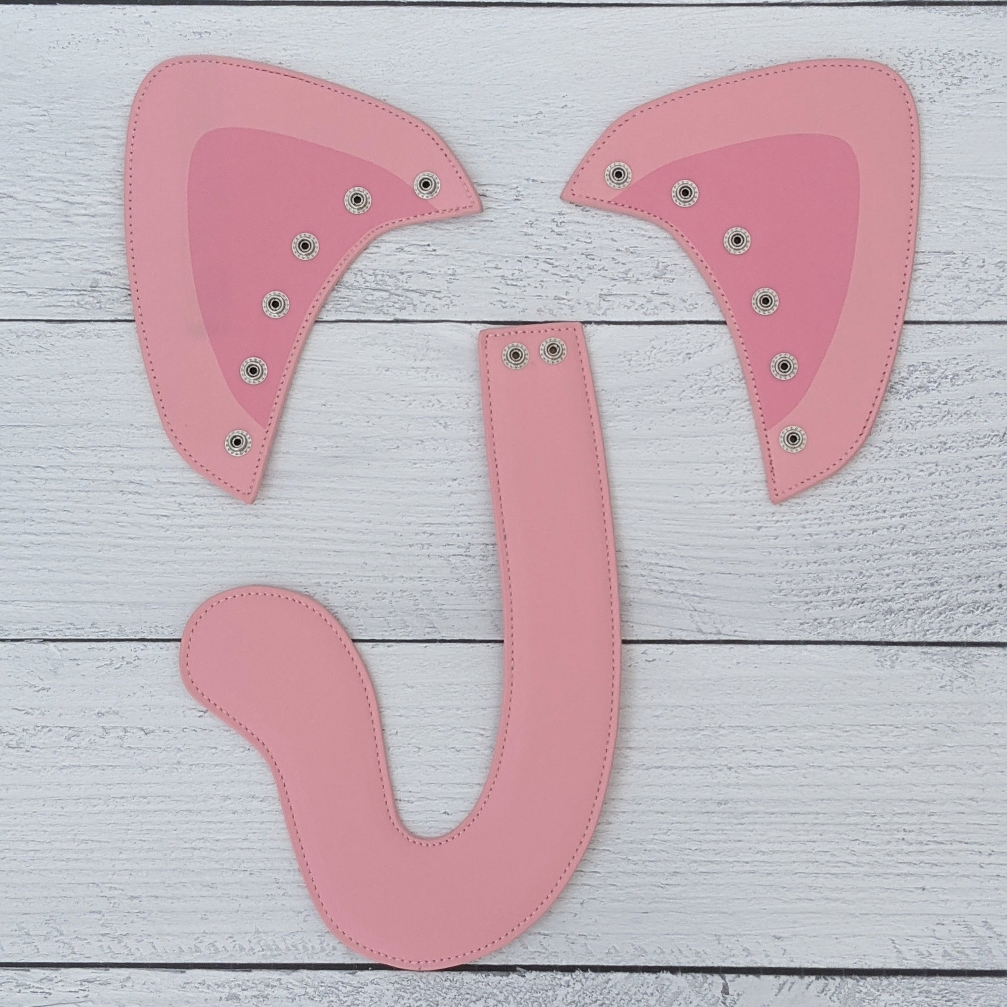 Pink Cat Ears and Tail